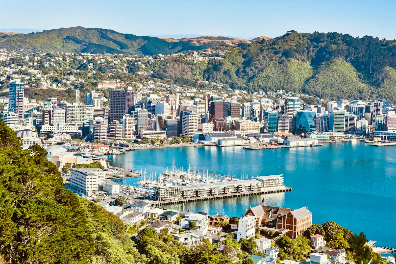 Wellington city and harbour with boats and green hills